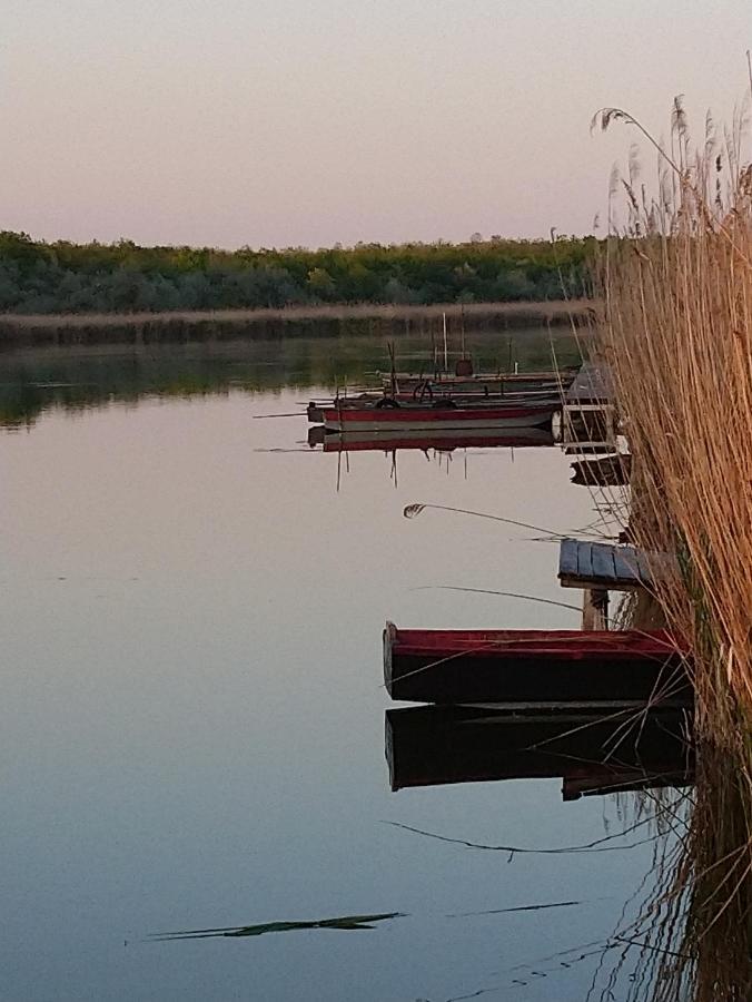 Relax Ii. Vendeghaz Villa Dunapataj Bagian luar foto